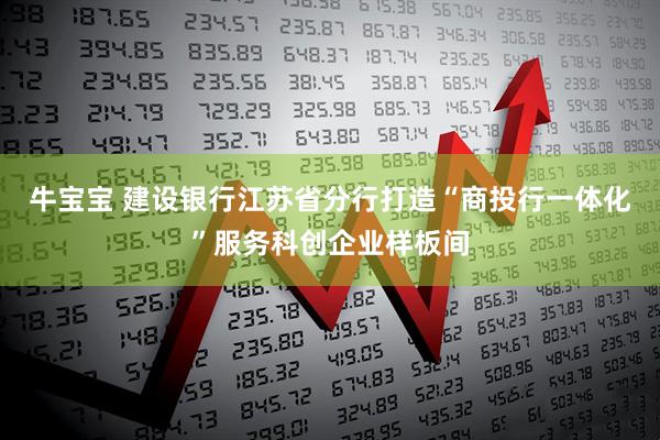 牛宝宝 建设银行江苏省分行打造“商投行一体化”服务科创企业样板间