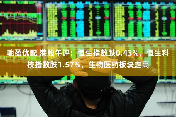驰盈优配 港股午评：恒生指数跌0.43%，恒生科技指数跌1.57%，生物医药板块走高