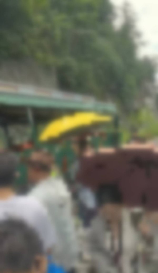 熊猫配资 广西一景区小火车脱轨，导致游客被困最终下车徒步走回终点？多方回应