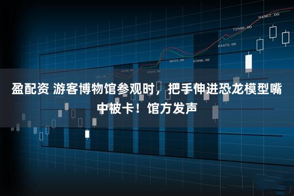 盈配资 游客博物馆参观时，把手伸进恐龙模型嘴中被卡！馆方发声