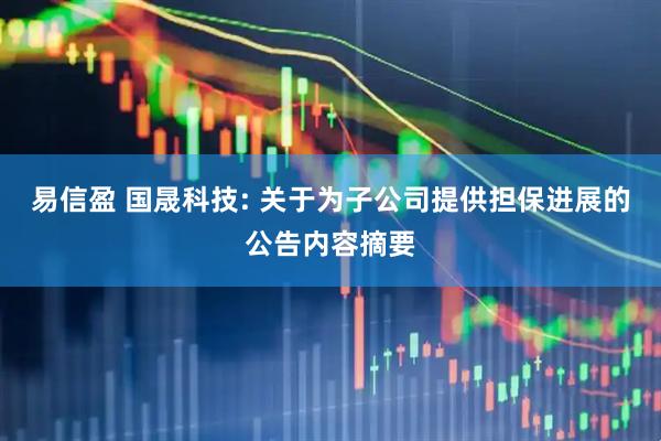 易信盈 国晟科技: 关于为子公司提供担保进展的公告内容摘要